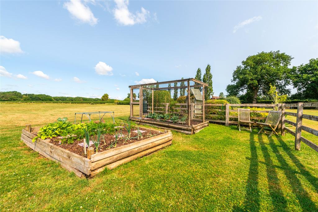 Vegetable Patch