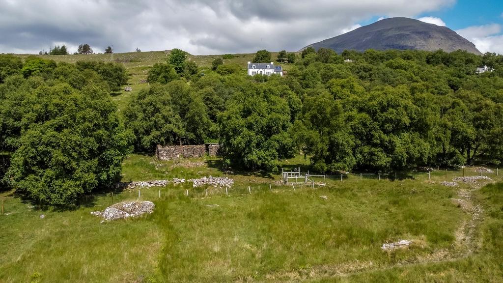 The Croft
