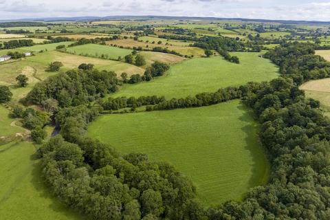 Farm land for sale - Walton, Brampton  CA8