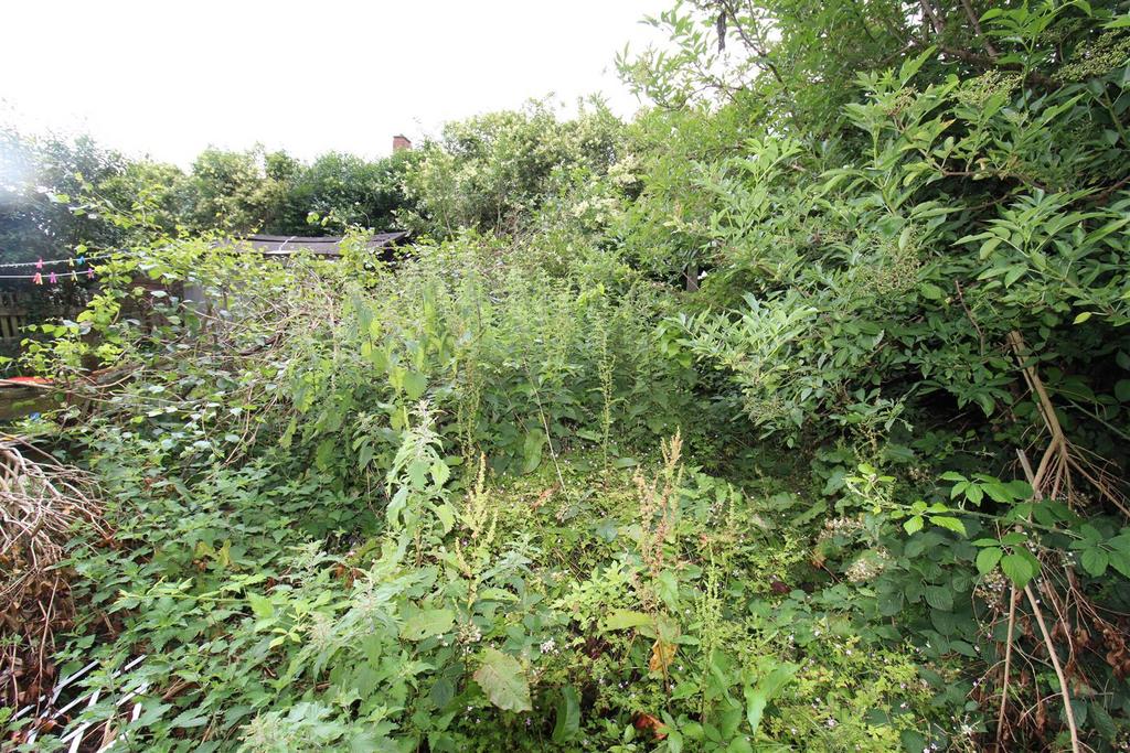 Img 4529.jpg