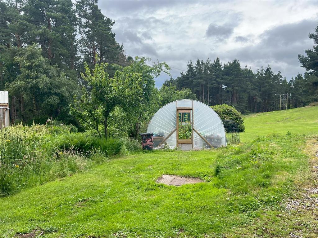 Polytunnel