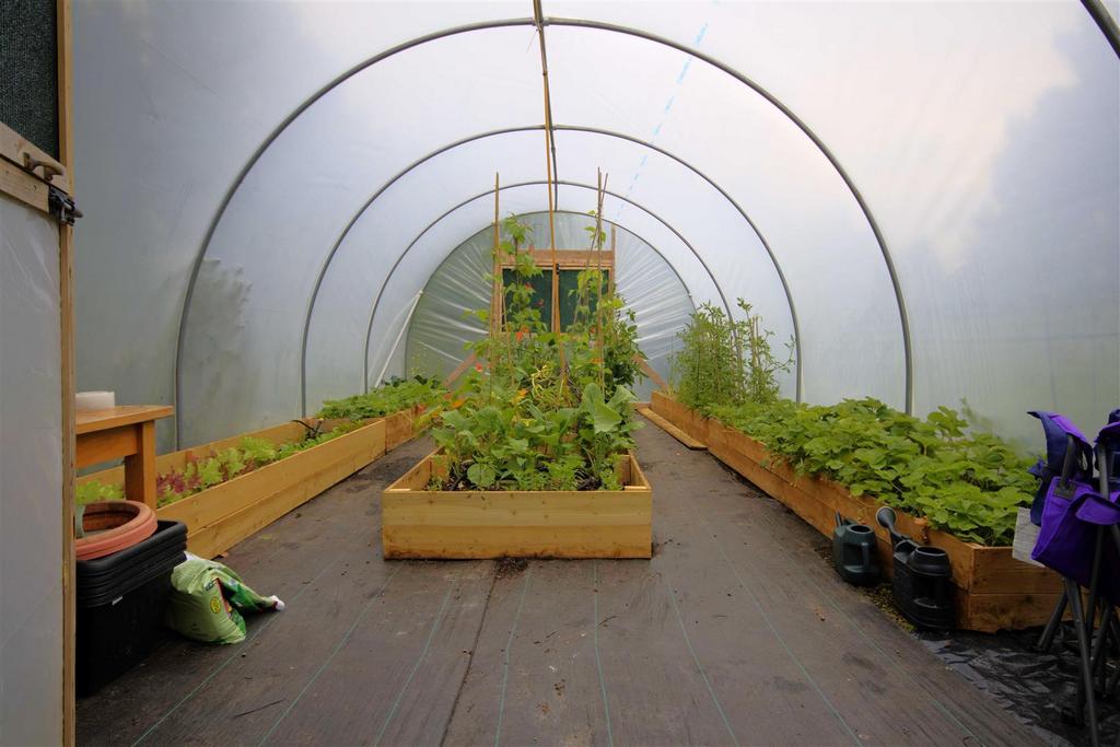 Polytunnel