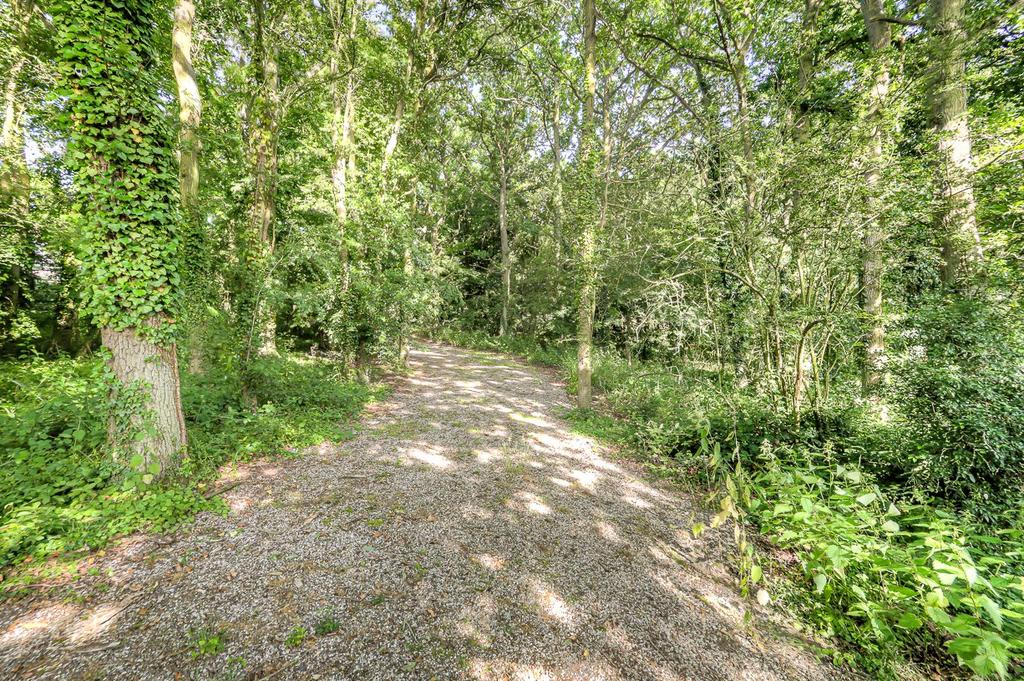 Woodland