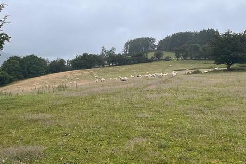 Farm land for sale, Abermeurig, Lampeter