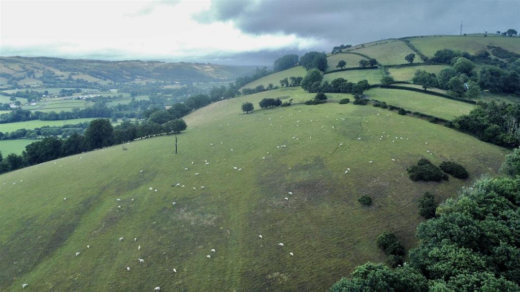 Dji fly 20230711 161030 578 1689088250654 photo op