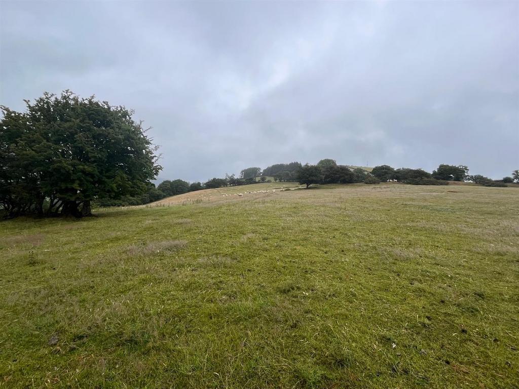 Land 4.jpg