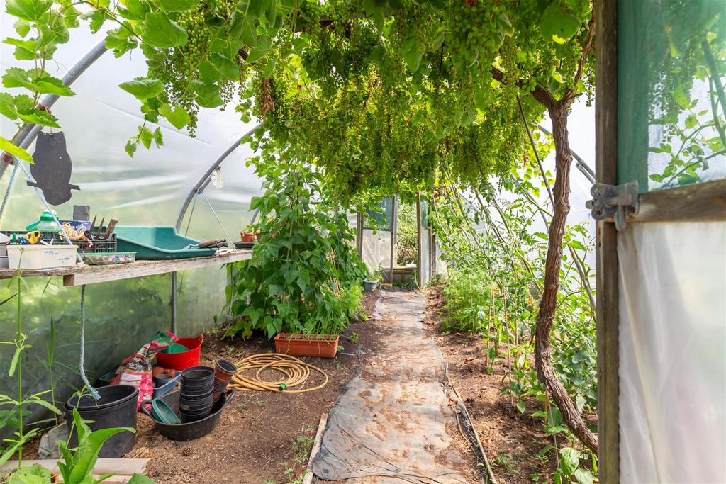 Polytunnel