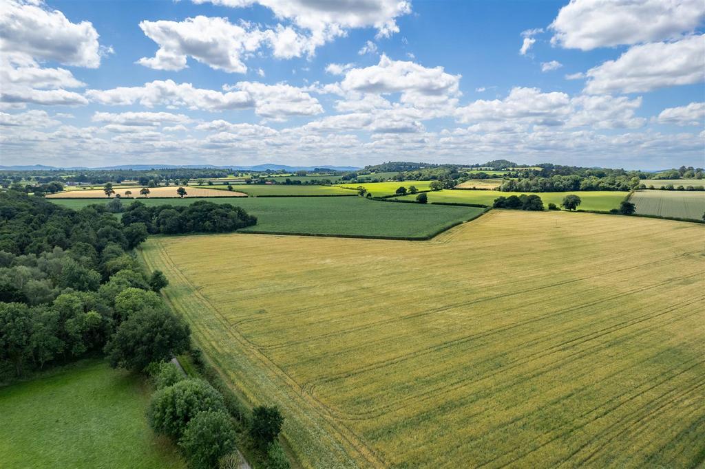 DJI 0207.jpg