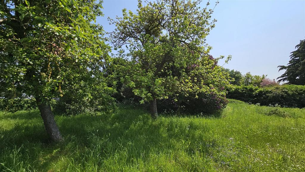 Photo 06.jpg