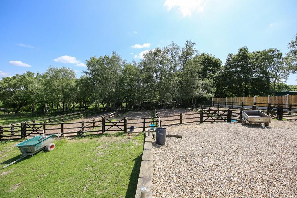 36 Paddocks.jpg
