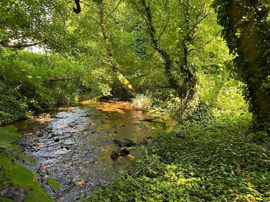Stream