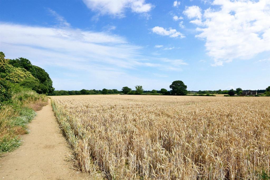 Surrounding Area