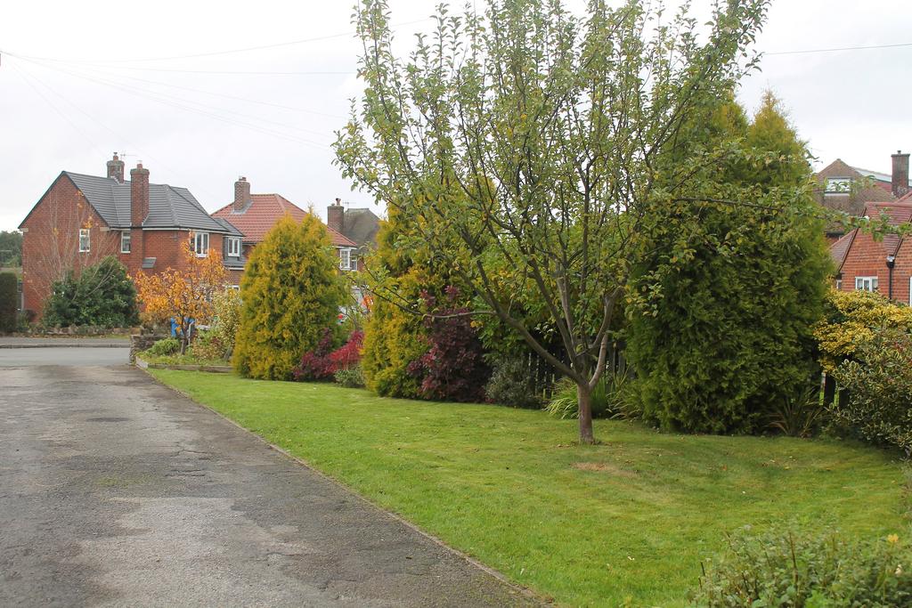 29 Mirfrontgarden T202307131546.jpg