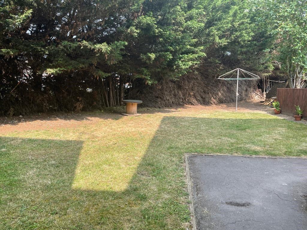 Garden.jpg
