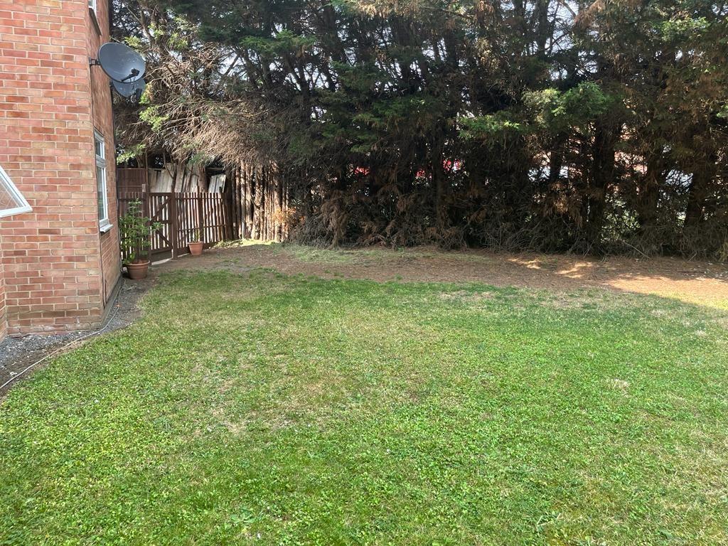 Garden 2.jpg
