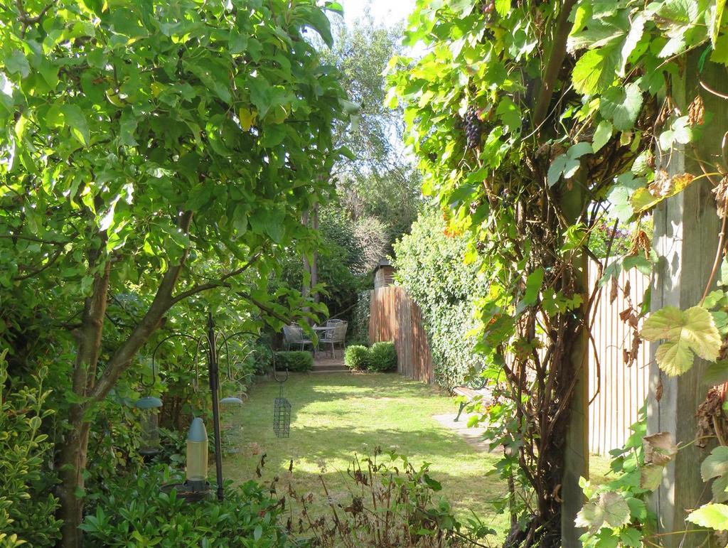 Garden 2 cropped.jpg