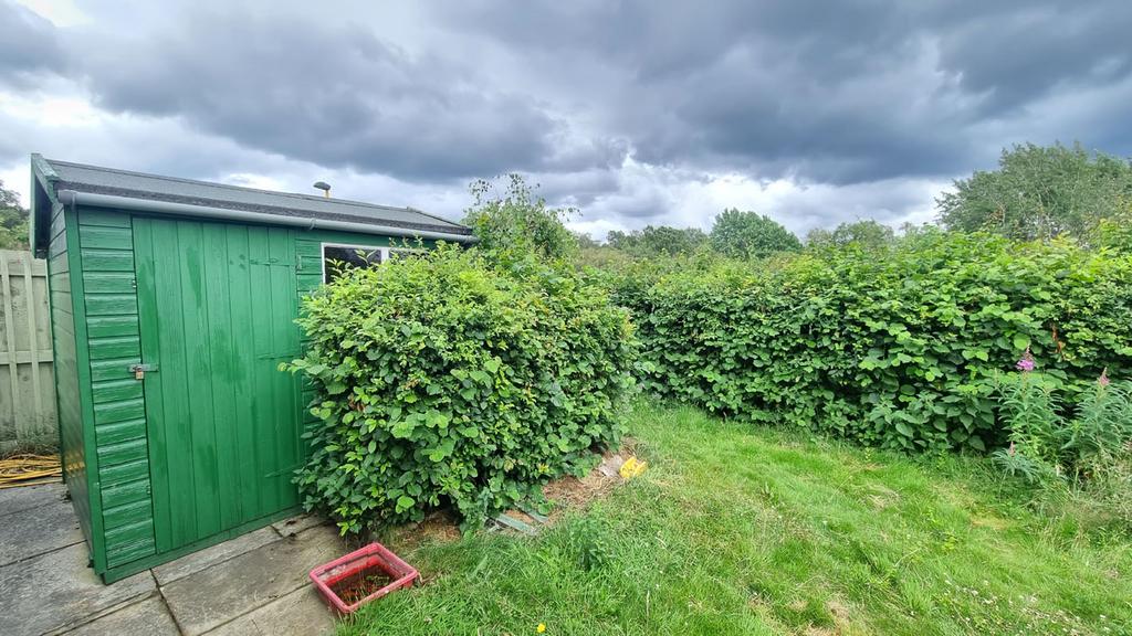 Shed