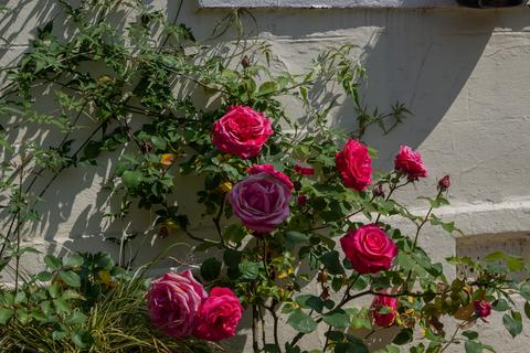 Duns Cottage Millar Street, Crieff, PH7 3AH