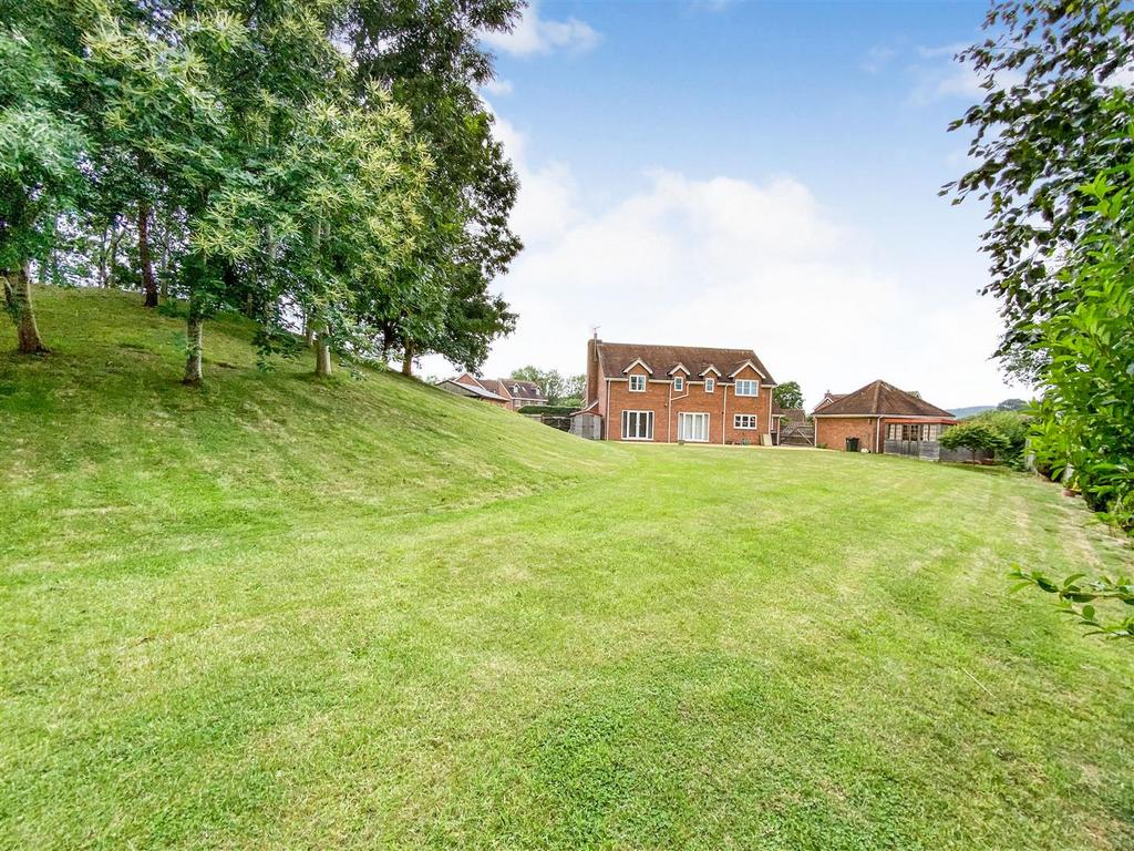 21.jpg