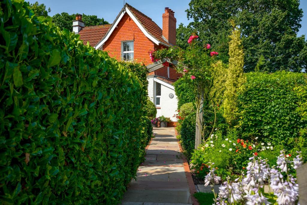 Garden path