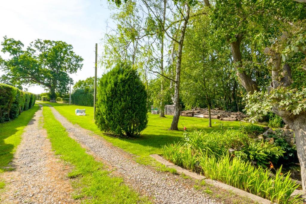 Driveway