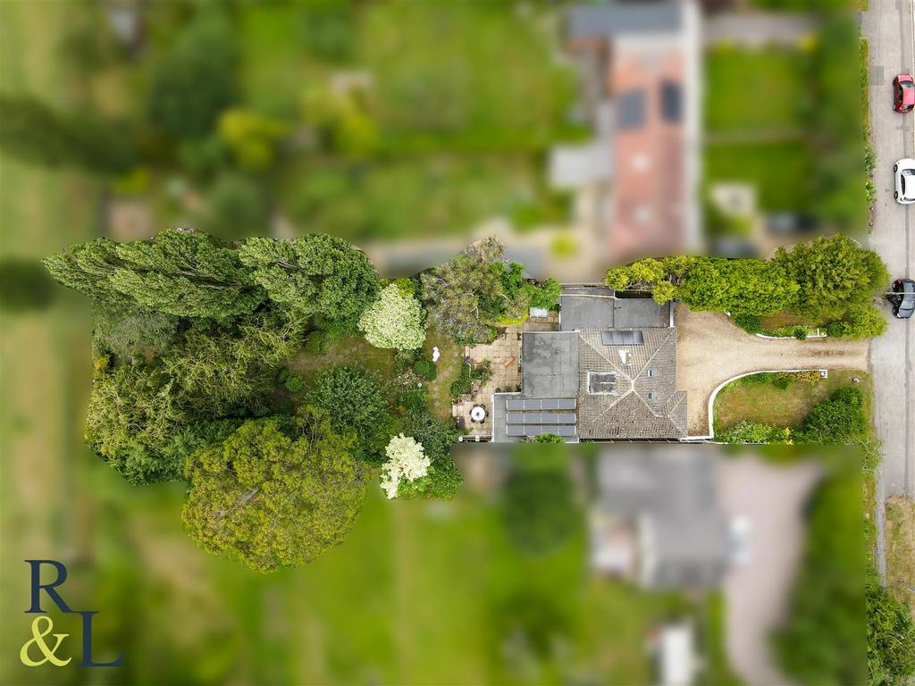 DJI 0209.jpg