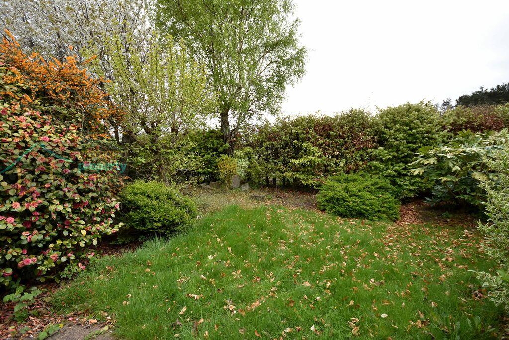 Garden 2
