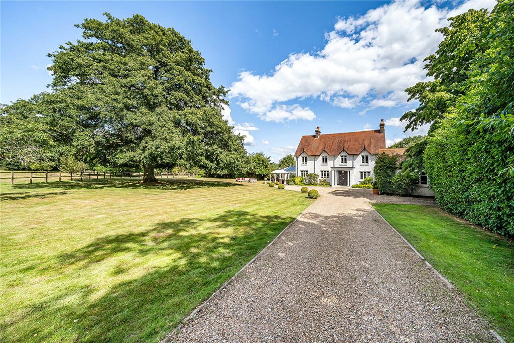 View To Garden