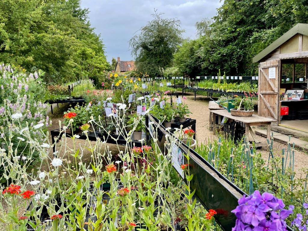 Nursery