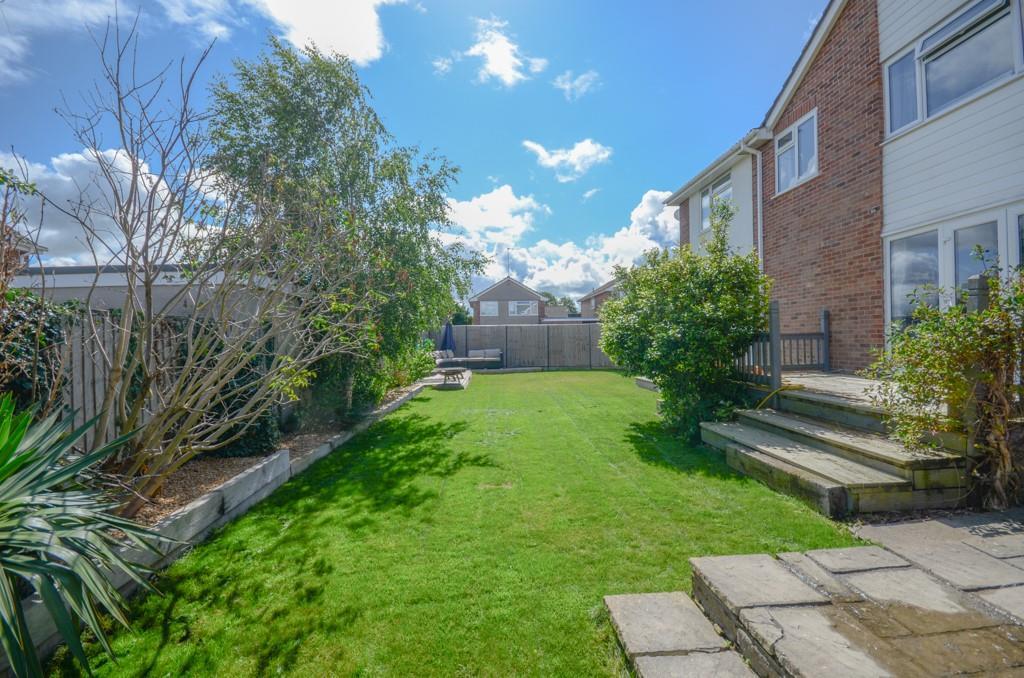 Rear garden.jpg