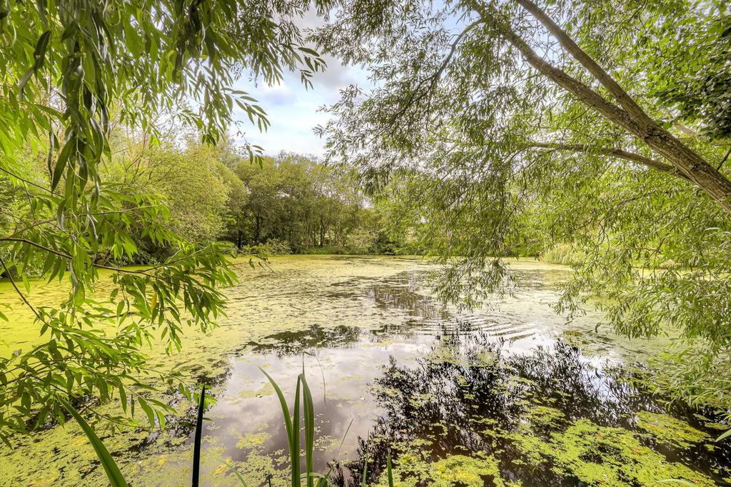 Fishing Lake