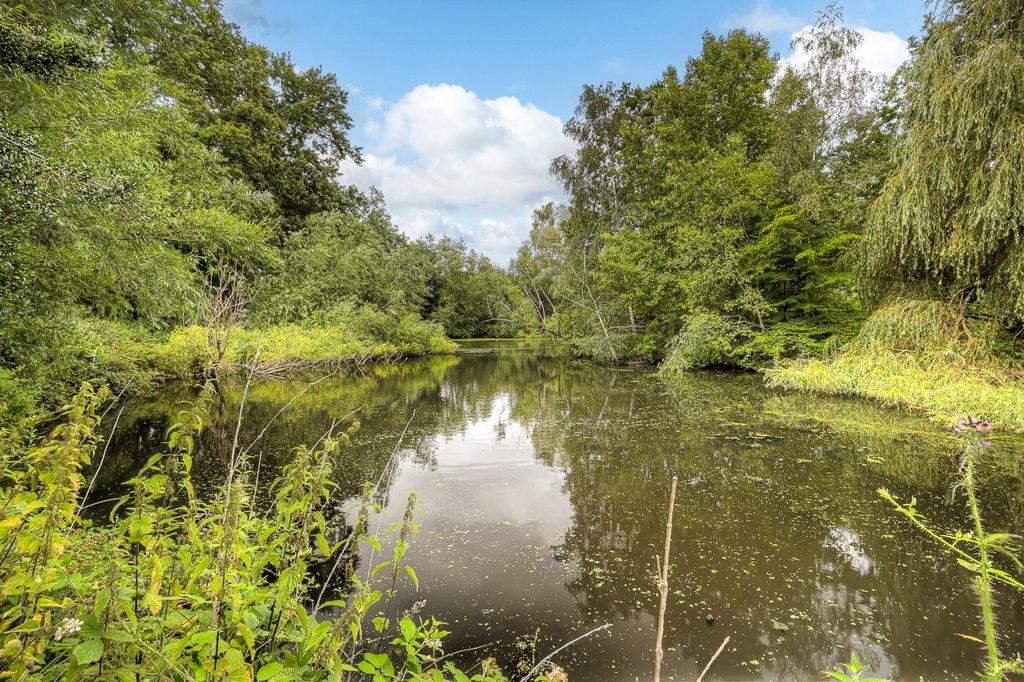 Fishing Lake