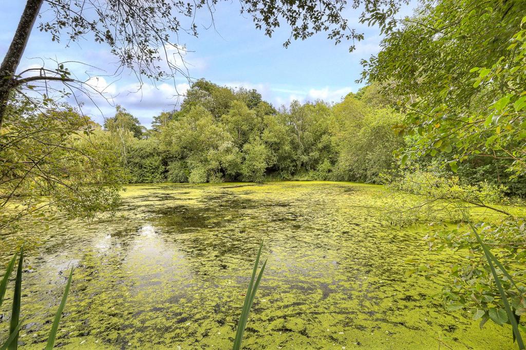 Fishing Lake