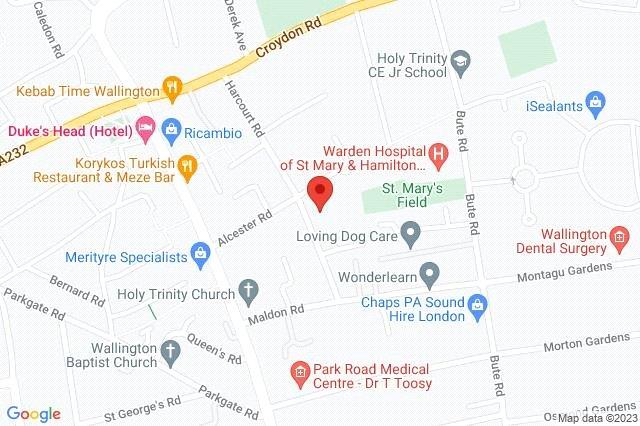 Google Maps Image