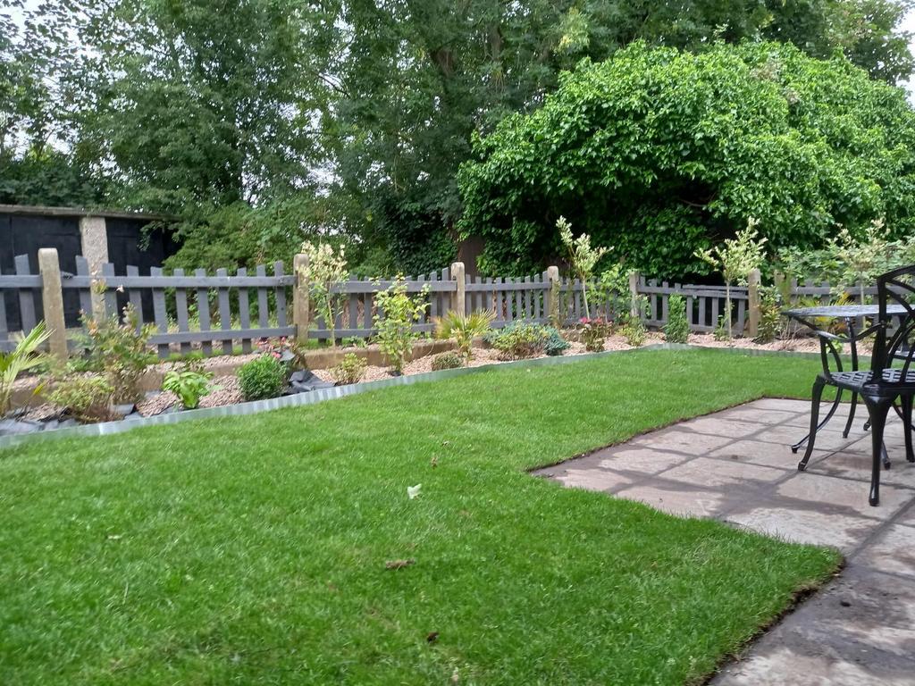 Garden pic 3