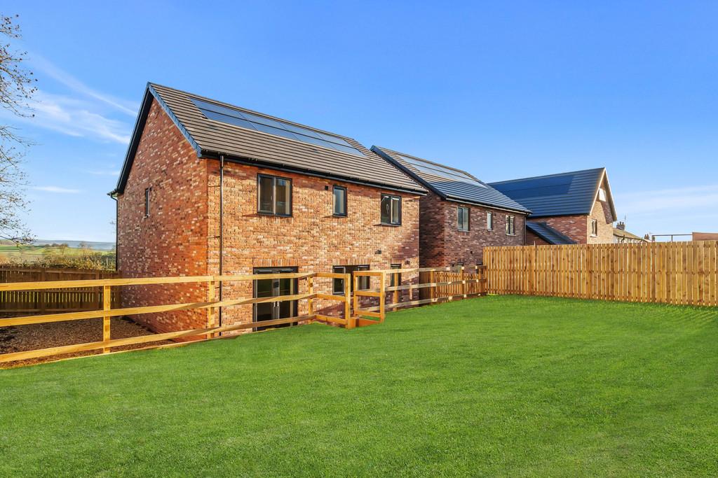 Rear Elevation and Garden