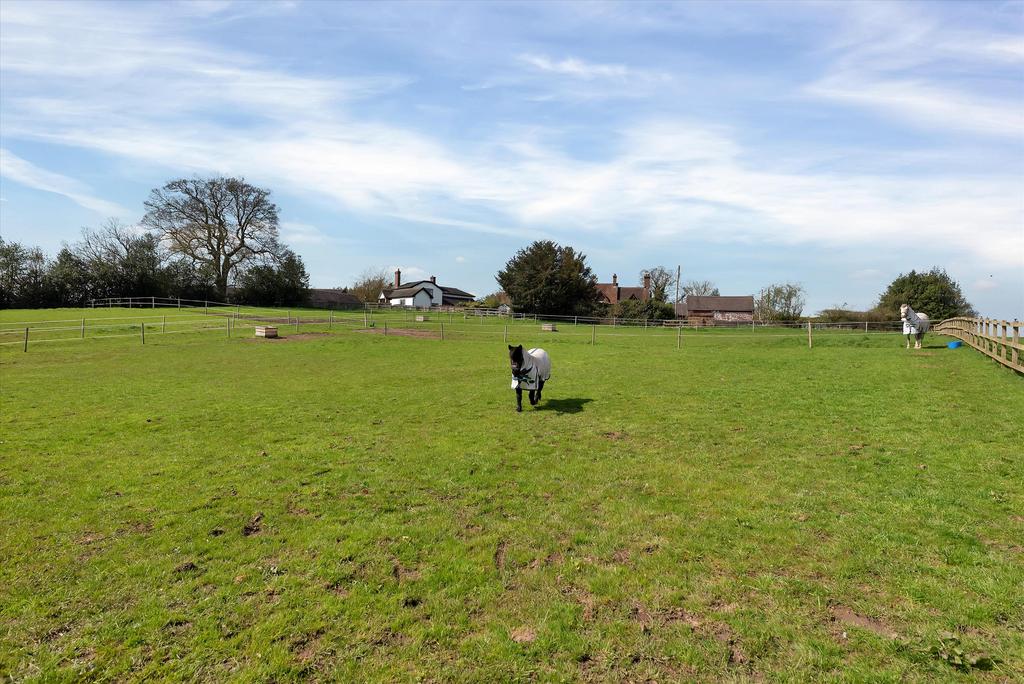 Paddocks