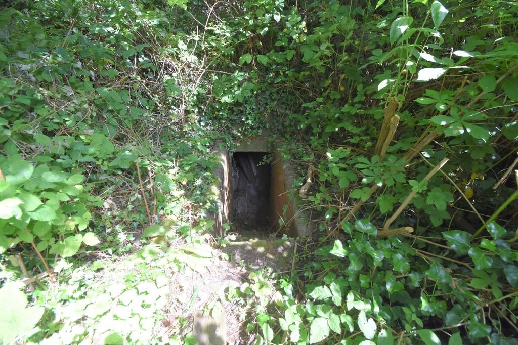Entrance to the WW2 shelter