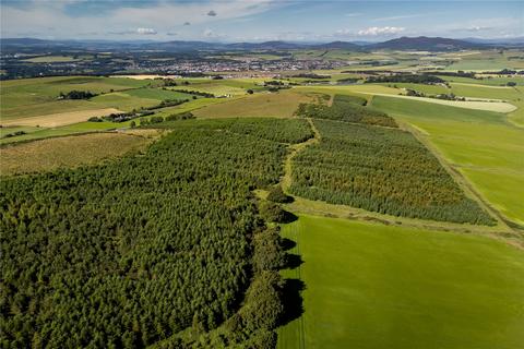 Land for sale, Lawel Hill Wood, Inverurie, Aberdeenshire, AB51