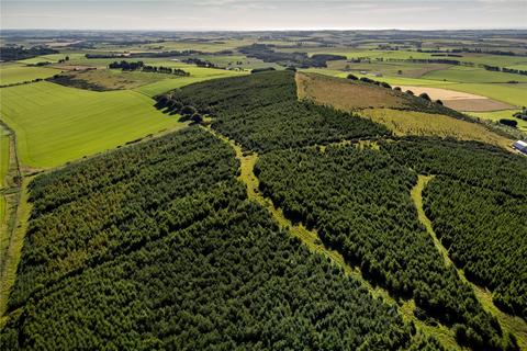 undefined, Lawel Hill Wood, Inverurie, Aberdeenshire, AB51