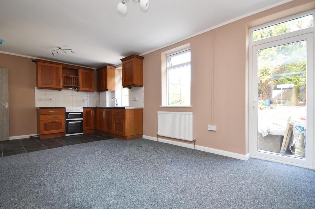 Kitchen/Living/Dining Room
