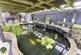 Raised pond