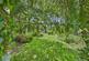 Additional image 2 of Halstead Road, Lexden, Colchester, Essex, CO3