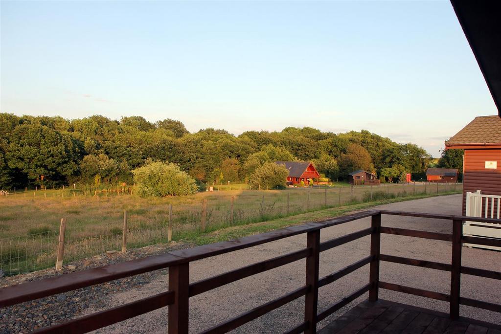 The View from the Lodge