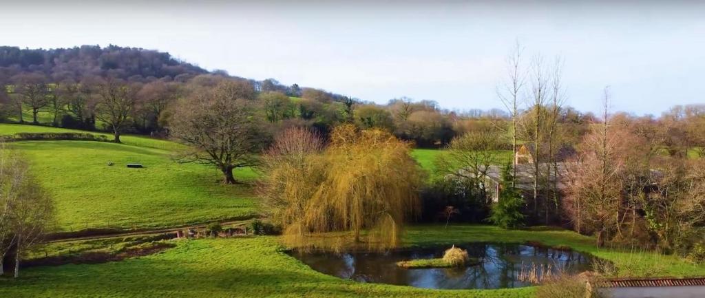 Bodmiscombe Garden .jpg
