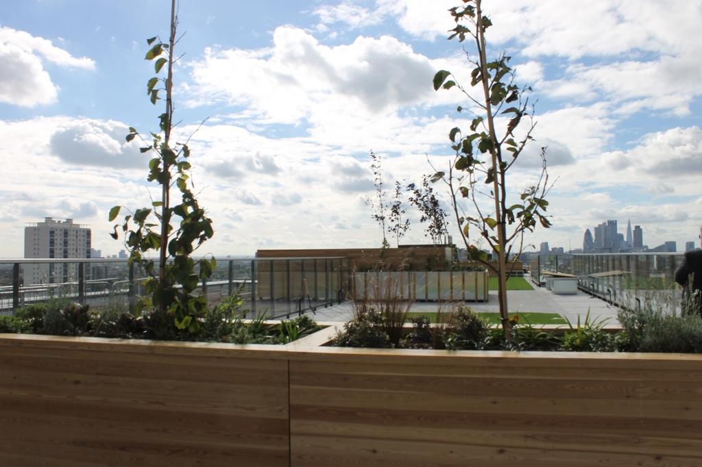 Roof Terrace