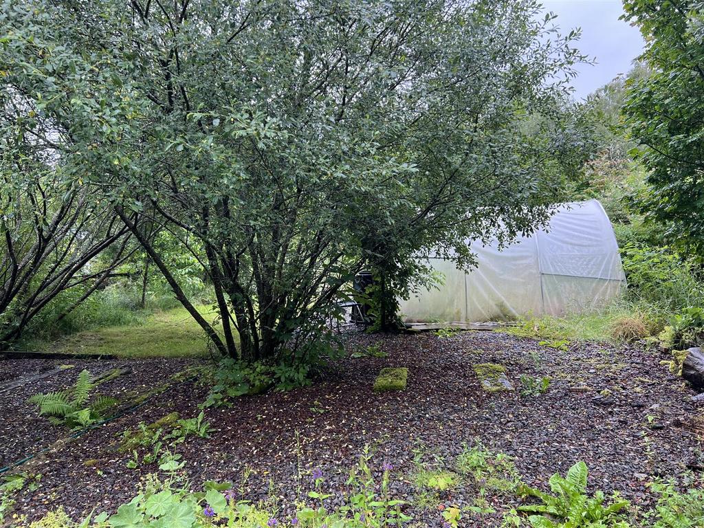 Polytunnel