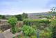 Dsc 1634.jpg
