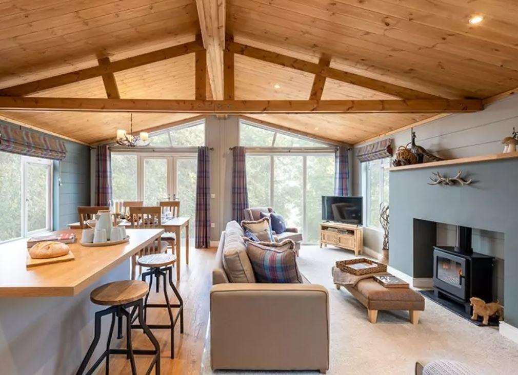 Forester 1.jpg