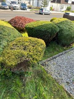 undefined, Balfron Road, Paisley, Renfrewshire, PA1